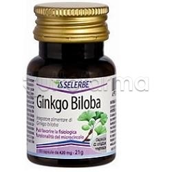 Ginkgo Biloba Estratto... Ginkgo Biloba Estratto...