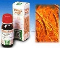 Avena Sativa per... Avena Sativa per...