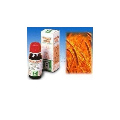 Avena Sativa per Rilassamento e Sonno 50ml Avena Sativa per Rilassamento e Sonno 50ml