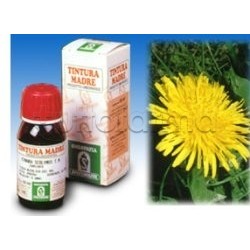 Specchiasol Tarassaco 28 Integratore Drenante 50ml Specchiasol Tarassaco 28 Integratore Drenante 50ml