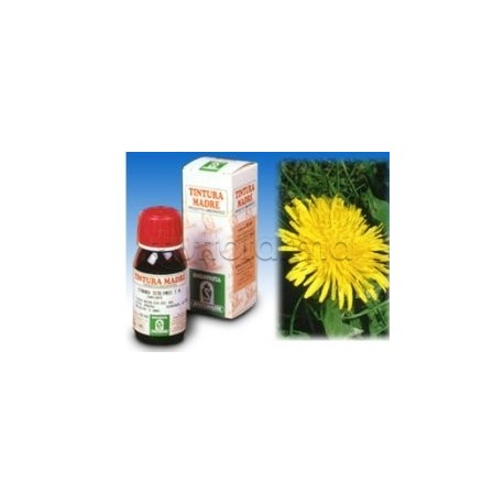 Specchiasol Tarassaco 28 Integratore Drenante 50ml Specchiasol Tarassaco 28 Integratore Drenante 50ml
