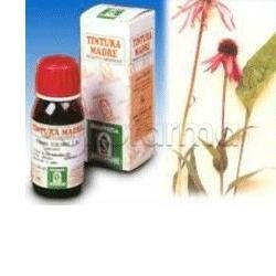 Echinacea 59 per Sistema... Echinacea 59 per Sistema...