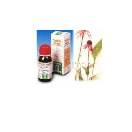 Echinacea 59 per Sistema Immunitario 50ml Echinacea 59 per Sistema Immunitario 50ml