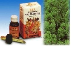 Pino Silvestre Olio... Pino Silvestre Olio...