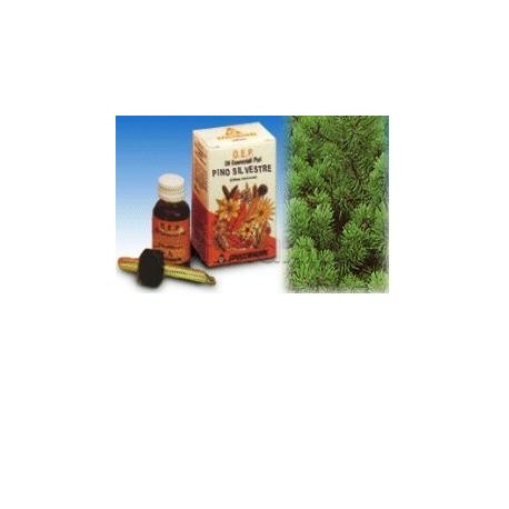 Pino Silvestre Olio Essenziale Puro per Vie Respiratorie 10ml Pino Silvestre Olio Essenziale Puro per Vie Respiratorie 10ml