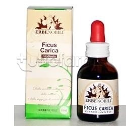 Scatola con Erbenobili Fitoblasto Ficus Carica Integratore per Bruciore Stomaco 50ml Scatola con Erbenobili Fitoblasto Ficus Carica Integratore per Bruciore Stomaco 50ml