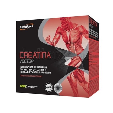 Ethicsport Creatina Vector per Prestazioni Fisiche 20 Buste da 8 g Ethicsport Creatina Vector per Prestazioni Fisiche 20 Buste da 8 g