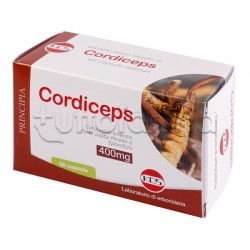 Kos Cordiceps Estratto Secco Integratore Ricostituente 60 Capsule Kos Cordiceps Estratto Secco Integratore Ricostituente 60 Capsule