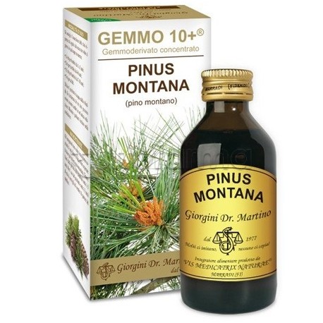 Dr Giorgini Gemmo 10+ Pino Montano Integratore per Vie Respiratorie 100ml Dr Giorgini Gemmo 10+ Pino Montano Integratore per Vie Respiratorie 100ml