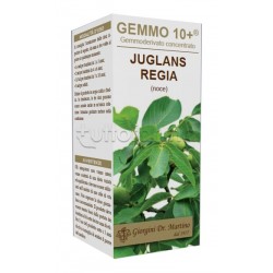 Dr. Giorgini Noce 10+... Dr. Giorgini Noce 10+...