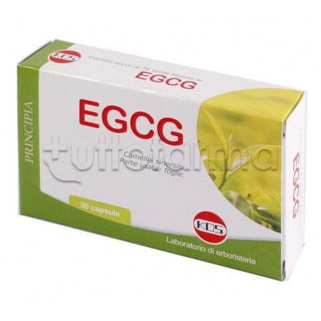 Kos Egcg Integratore al Te Verde per Stanchezza 30 Capsule Kos Egcg Integratore al Te Verde per Stanchezza 30 Capsule