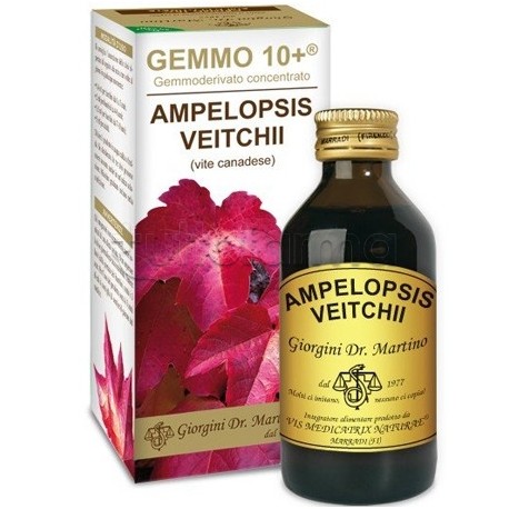 Dr. Giorgini Vite Canadese Gemmo 10+ Integratore per Articolazioni 100ml Dr. Giorgini Vite Canadese Gemmo 10+ Integratore per Articolazioni 100ml