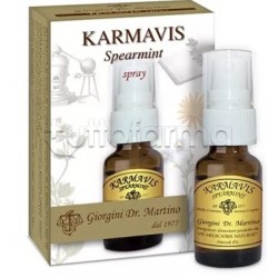 Dr.Giorgini Karmavis Spearmint Integratore per la Gola Spray 15ml Dr.Giorgini Karmavis Spearmint Integratore per la Gola Spray 15ml