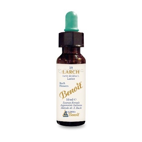 Alchimia Benoit Fiori di Bach Larch 10ml Alchimia Benoit Fiori di Bach Larch 10ml