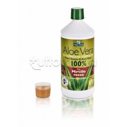 Aloe Vera Succo Mirtillo Rosso Integratore Alimentare per il Benessere Gastrointestinale 1L Aloe Vera Succo Mirtillo Rosso Integratore Alimentare per il Benessere Gastrointestinale 1L