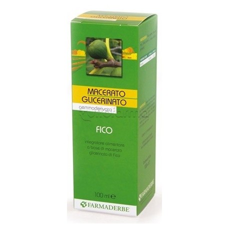 Farmaderbe Fico Macerato Glicerico Integratore per Apparato Digestivo 100ml Farmaderbe Fico Macerato Glicerico Integratore per Apparato Digestivo 100ml