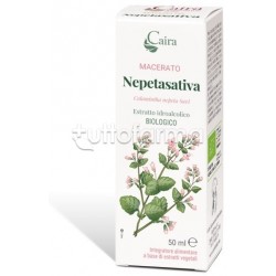 Caira Nepetasativa Macerato...