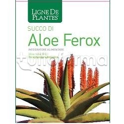 Natura Service Ligne De Plantes' Aloe Ferox Biologico Integratore per Funzionalità Epatica e Digestiva 1000ml Natura Service Ligne De Plantes' Aloe Ferox Biologico Integratore per Funzionalità Epatica e Digestiva 1000ml