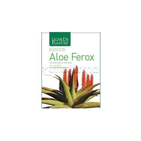 Natura Service Ligne De Plantes' Aloe Ferox Biologico Integratore per Funzionalità Epatica e Digestiva 1000ml