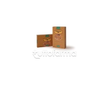 Natura Service Pappa Reale Bio Integratore Ricostituente 20 Ampolle da 15ml