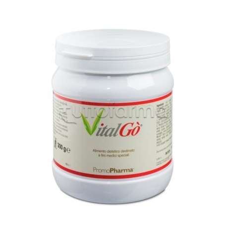 Vitalgo Polvere per Malnutrizione 300 G