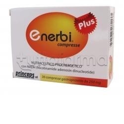 Enerbi Plus per Energia e...