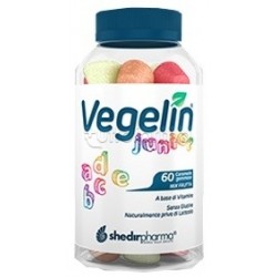 Vegelin Junior per...