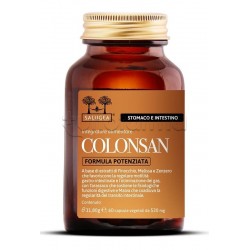 Salugea Colonsan Formula Potenziata Integratore per Intestino 60 Capsule Salugea Colonsan Formula Potenziata Integratore per Intestino 60 Capsule