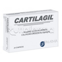 Cartilagil per Funzionalità... Cartilagil per Funzionalità...