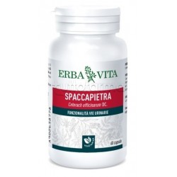 Erbavita Spaccapietra... Erbavita Spaccapietra...