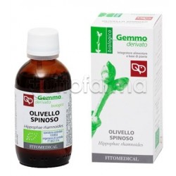 Olivello Spinoso Macerato... Olivello Spinoso Macerato...