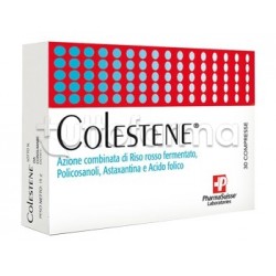 Colestene Integratore per Colesterolo 30 Compresse Colestene Integratore per Colesterolo 30 Compresse
