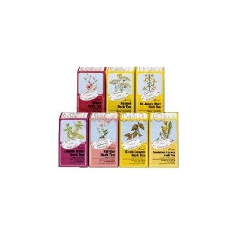 Salus Floradix Menta Piperita Infuso Bio per Fegato 15 Filtri Salus Floradix Menta Piperita Infuso Bio per Fegato 15 Filtri