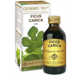 Dr. Giorgini Gemmo 10+ Fico Integratore per Pelle 100ml Dr. Giorgini Gemmo 10+ Fico Integratore per Pelle 100ml