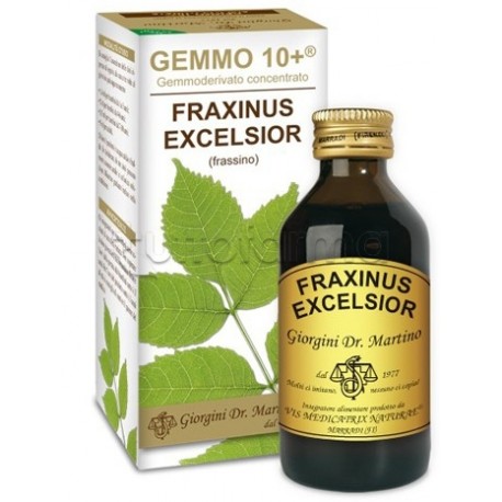 Dr Giorgini Gemmo 10+ Frassino Integratore Drenante 100ml Dr Giorgini Gemmo 10+ Frassino Integratore Drenante 100ml