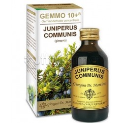 Dr Giorgini Gemmo 10+ Ginepro Integratore per Depurazione 100ml Dr Giorgini Gemmo 10+ Ginepro Integratore per Depurazione 100ml