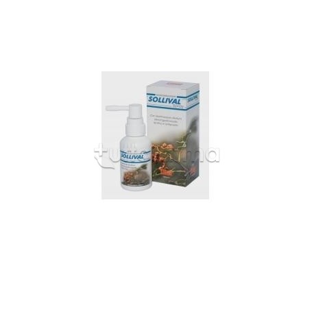 Sollival Spray No Gas per Prurito e Irritazione 50ml Sollival Spray No Gas per Prurito e Irritazione 50ml