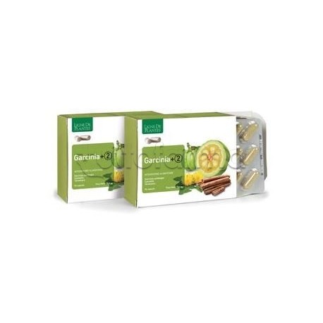 Garcinia + 2 integratore per metabolismo e controllo peso 90 capsule Garcinia + 2 integratore per metabolismo e controllo peso 90 capsule