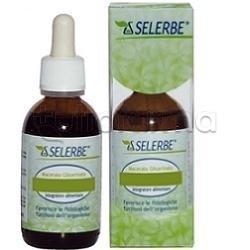 Selerbe Betulla Verrucosa... Selerbe Betulla Verrucosa...