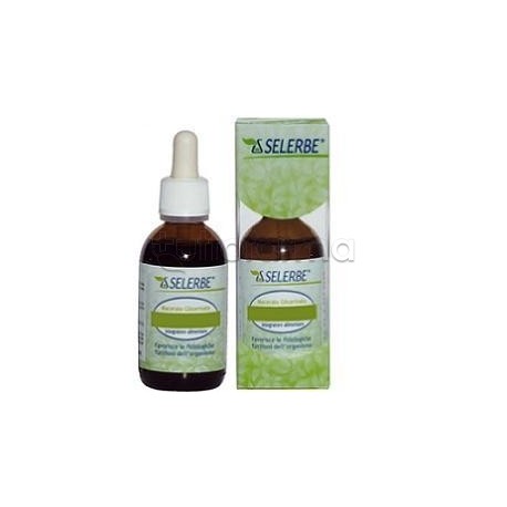 Selerbe Betulla Verrucosa Linfa per Depurazione 50ml Selerbe Betulla Verrucosa Linfa per Depurazione 50ml