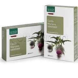 Natura Service Cardo Mariano Biologico Integratore per Fegato 20 Pezzi Natura Service Cardo Mariano Biologico Integratore per Fegato 20 Pezzi