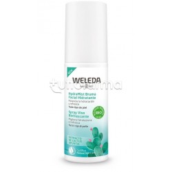 Weleda Spray Viso Rinfrescante 100ml Weleda Spray Viso Rinfrescante 100ml