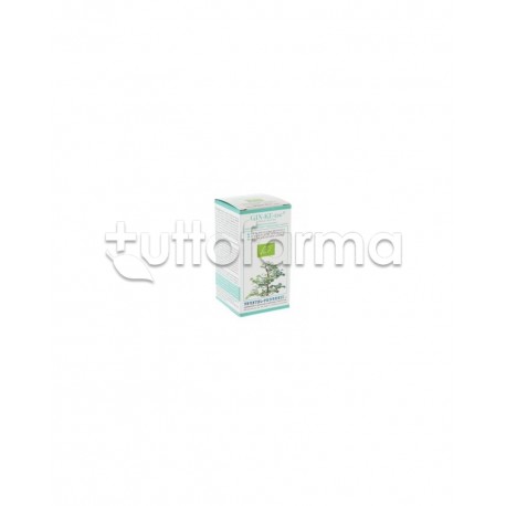 Vegetal Progress Gin-ke-tze Integratore Antiossidante 80 Tavolette Vegetal Progress Gin-ke-tze Integratore Antiossidante 80 Tavolette