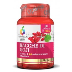 Colours of Life Bacche di... Colours of Life Bacche di...