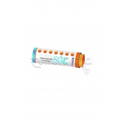 Hering Arsenicum Album 30CH Globuli Omeopatici Hering Arsenicum Album 30CH Globuli Omeopatici