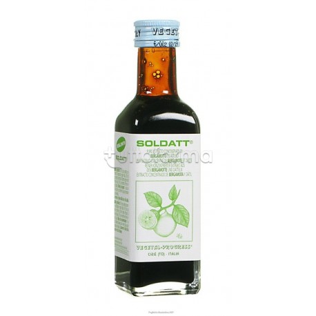 Vegetal Progress Soldatt Bergamotto Integratore Digestivo 100ml Vegetal Progress Soldatt Bergamotto Integratore Digestivo 100ml