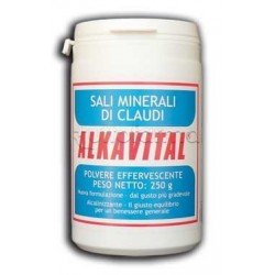 Alkavital Integratore per Sali Minerali e Vitamine Polvere 250g Alkavital Integratore per Sali Minerali e Vitamine Polvere 250g