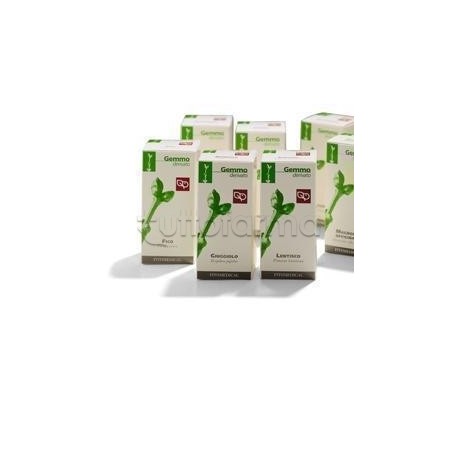 Mandorlo Macerato Glicerico per Colesterolo 50ml Mandorlo Macerato Glicerico per Colesterolo 50ml