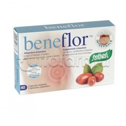 Santiveri Beneflor Integratore per Intestino 40 Capsule Santiveri Beneflor Integratore per Intestino 40 Capsule