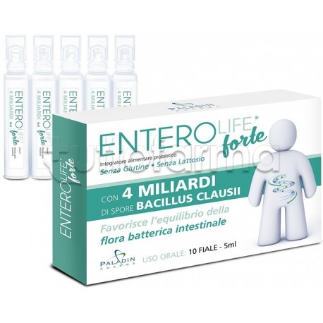 Enterolife Forte 4 Miliardi Integratore Fermenti Lattici Equivalente Enterogermina 10 Fiale da 5ml